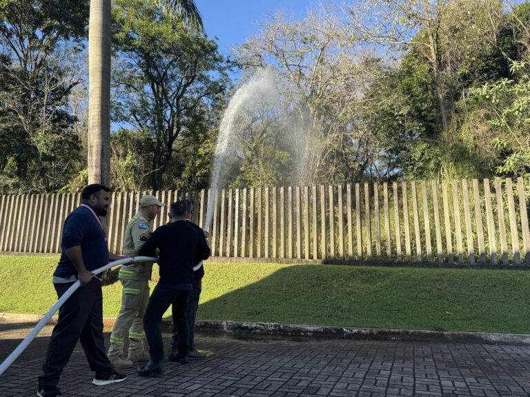 FOTOS BRIGADAS (05)
